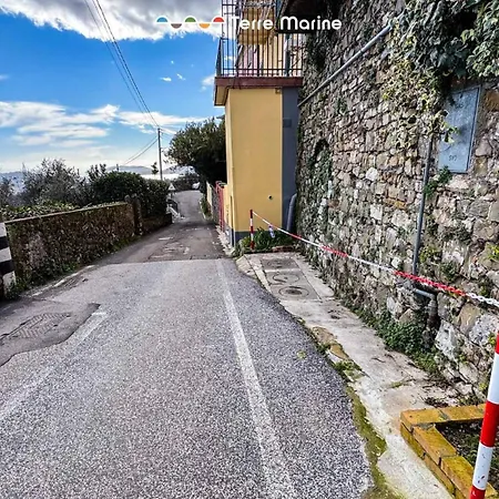 Il Torchio, Terre Marine